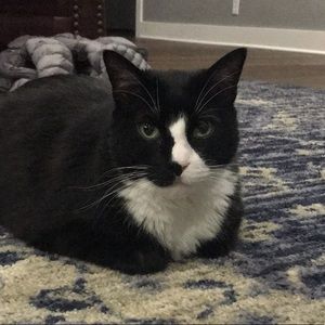 Meet your Posher, Lindsey